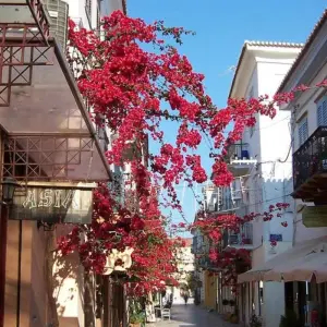 Explore Highlights of Greece for 8 days with Explore! and discover unforgettable experiences - Photo 7