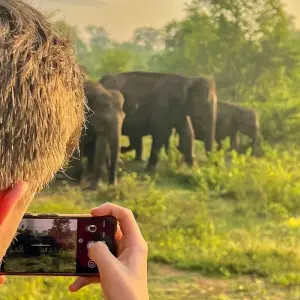 Explore Best of Sri Lanka - Feel Free Travel for 12 days with Feel Free Travel and discover unforgettable experiences - Photo 5