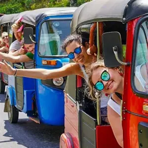 Explore Best of Sri Lanka - Feel Free Travel for 12 days with Feel Free Travel and discover unforgettable experiences - Photo 10