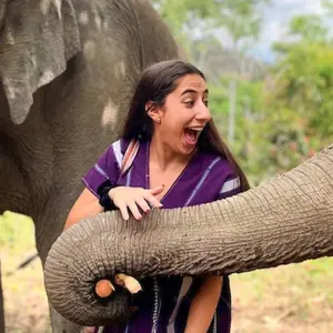 Explore Best of Thailand - Feel Free Travel for 15 days with Feel Free Travel and discover unforgettable experiences - Photo 10