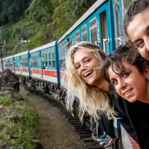 Explore Best of Sri Lanka - Feel Free Travel for 12 days with Feel Free Travel and discover unforgettable experiences - Photo 11