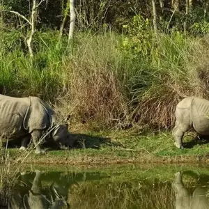 Explore 19 Days -Everest, Annapurna & Chitwan - The Best of Nepal for 19 days with Female Guide Holiday and discover unforgettable experiences - Photo 7