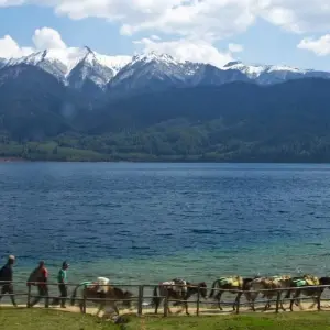 Explore Rara Lake Trek -15 Days for 15 days with Female Guide Holiday and discover unforgettable experiences - Photo 3