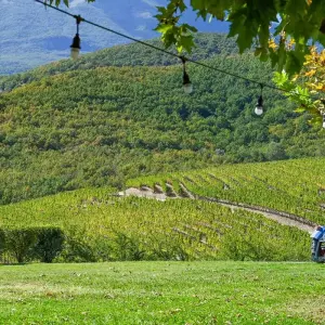 Explore Small Treasures 6 Days/5 Nights Every Sunday for 6 days with Filos Holidays and Travel  and discover unforgettable experiences - Photo 5