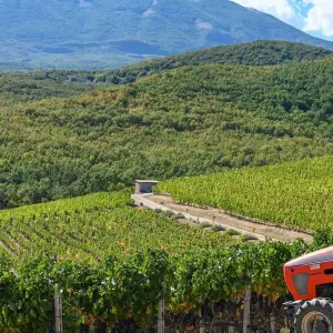 Explore Treasures of Northern Greece - Full Program 8 Days/ 7 Nights Sunday Arrival for 8 days with Filos Holidays and Travel  and discover unforgettable experiences - Photo 2