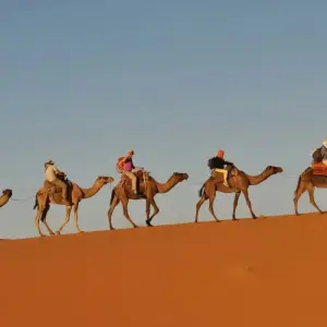 Explore Morocco Discovery with Desert Private Tour for 7 days with Firebird Tours and discover unforgettable experiences - Photo 8