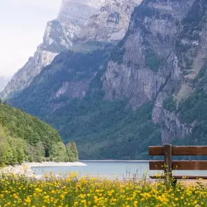 Explore Swiss Express Private Tour for 6 days with Firebird Tours and discover unforgettable experiences - Photo 7