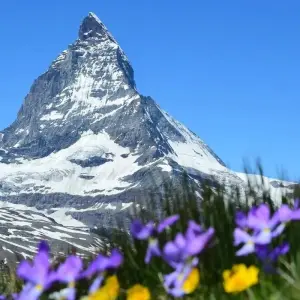 Explore Definitive Switzerland Private Tour for 12 days with Firebird Tours and discover unforgettable experiences - Photo 7