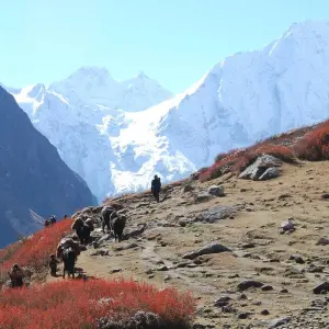 Explore Manaslu Trekking for 14 days with First Environmental Trekking and discover unforgettable experiences - Photo 3