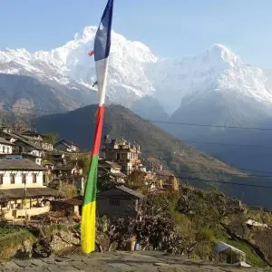 Explore Ghorepani Poonhill Annapurna Base Camp Trek for 12 days with First Environmental Trekking and discover unforgettable experiences - Photo 7