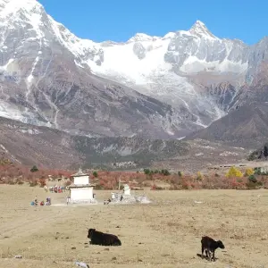 Explore Manaslu Trekking for 14 days with First Environmental Trekking and discover unforgettable experiences - Photo 4