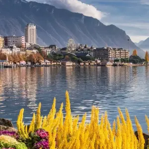 Explore Definitive Switzerland Private Tour for 12 days with Firebird Tours and discover unforgettable experiences - Photo 11