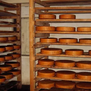 Explore Langtang Valley Trek for 7 days with First Environmental Trekking and discover unforgettable experiences - Photo 7