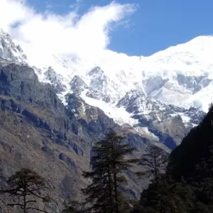 Explore Langtang Valley Trek for 7 days with First Environmental Trekking and discover unforgettable experiences - Photo 8