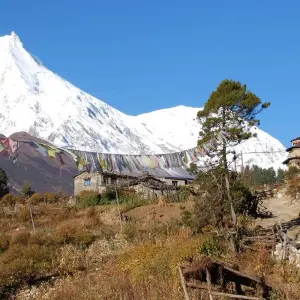 Explore Manaslu Trekking for 14 days with First Environmental Trekking and discover unforgettable experiences - Photo 8