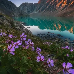 Explore Essentials of Kyrgyzstan for 6 days with Flo Tours and discover unforgettable experiences - Photo 2