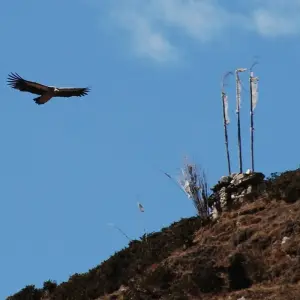 Explore Manaslu Trekking for 14 days with First Environmental Trekking and discover unforgettable experiences - Photo 9