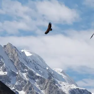 Explore Manaslu Trekking for 14 days with First Environmental Trekking and discover unforgettable experiences - Photo 10