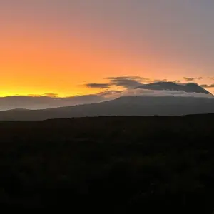 Explore Climb Kilimanjaro via the Lemosho route for 10 days with Follow Alice and discover unforgettable experiences - Photo 6