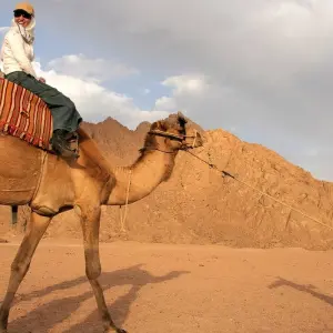 Explore 7-Day Best of Egypt Tour with 3 nights Nile Cruise for 7 days with Flo Tours and discover unforgettable experiences - Photo 9