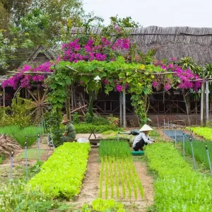 Explore Jewels of Vietnam and Cambodia for 12 days with Footsteps Indochina Travel and discover unforgettable experiences - Photo 2