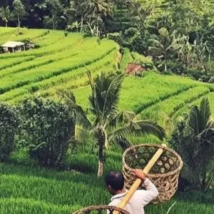 Explore Best of Bali Instagram 3 Day Tour (Private & All Inclusive) for 3 days with ForeverVacation and discover unforgettable experiences - Photo 2