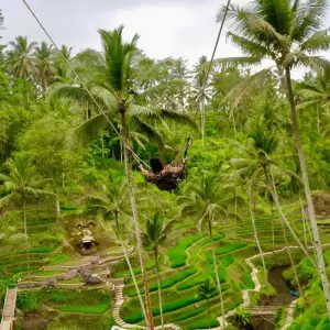 Explore Best of Bali Instagram 3 Day Tour (Private & All Inclusive) for 3 days with ForeverVacation and discover unforgettable experiences - Photo 3