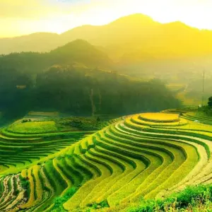 Explore Best of Bali Instagram 3 Day Tour (Private & All Inclusive) for 3 days with ForeverVacation and discover unforgettable experiences - Photo 5