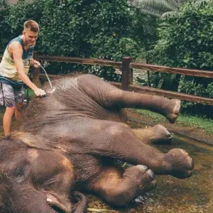 Explore Bali Wildlife Experience 3 Day Tour (Private & All-Inclusive) for 3 days with ForeverVacation and discover unforgettable experiences - Photo 5