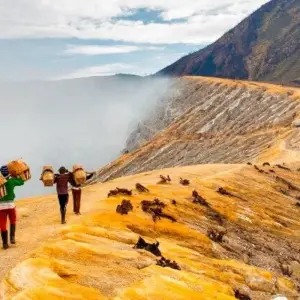 Explore Volcano Adventure: A Trek to Mount Ijen & Mount Bromo (Private & All-inclusive) for 3 days with ForeverVacation and discover unforgettable experiences - Photo 3