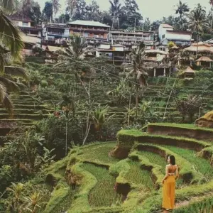 Explore Bali Unforgettable Adventure 3 Days Tour (Private & All-Inclusive) for 3 days with ForeverVacation and discover unforgettable experiences - Photo 9