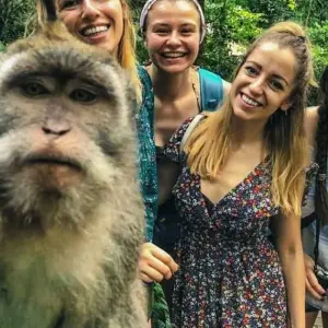 Explore Bali Wildlife Experience 3 Day Tour (Private & All-Inclusive) for 3 days with ForeverVacation and discover unforgettable experiences - Photo 8