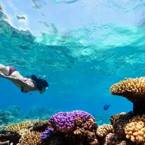 Explore Bali Unforgettable Family Fun Adventure Tour (Private & All-Inclusive) for 4 days with ForeverVacation and discover unforgettable experiences - Photo 4