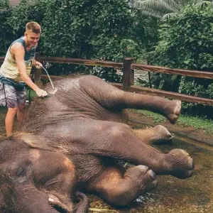 Explore Bali Unforgettable Family Fun Adventure Tour (Private & All-Inclusive) for 4 days with ForeverVacation and discover unforgettable experiences - Photo 6