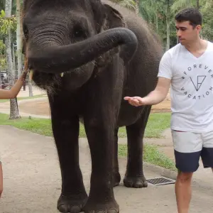 Explore Bali Wildlife Experience 3 Day Tour (Private & All-Inclusive) for 3 days with ForeverVacation and discover unforgettable experiences - Photo 11