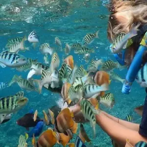 Explore Bali Unforgettable Family Fun Adventure Tour (Private & All-Inclusive) for 4 days with ForeverVacation and discover unforgettable experiences - Photo 7