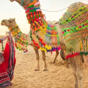 Explore Exotic Golden Triangle Tour from Bangalore for 6 days with Fragrance of Taj and discover unforgettable experiences - Photo 2