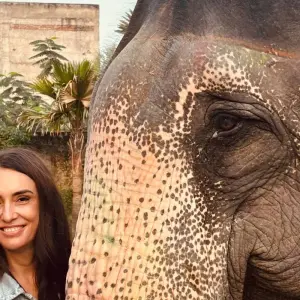 Explore Rajasthan Wildlife & Heritage Tour with Taj 16 Days | 15 Nights for 16 days with Fragrance of Taj and discover unforgettable experiences - Photo 4