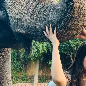 Explore Rajasthan Wildlife & Heritage Tour with Taj 16 Days | 15 Nights for 16 days with Fragrance of Taj and discover unforgettable experiences - Photo 5