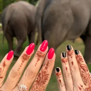 Explore Jaipur Shopping Tour for 1 days with Fragrance of Taj and discover unforgettable experiences - Photo 8