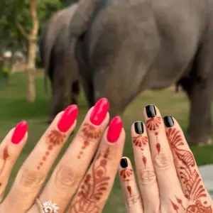 Explore Exotic  Golden Triangle Tour from Delhi 5 Days 4 Nights for 5 days with Fragrance of Taj and discover unforgettable experiences - Photo 11