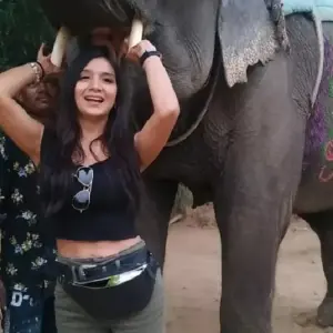 Explore Enchanting  Jaipur  Trip From Delhi  with Amazing Stay in Elephant Sanctuary with All Activity for 2 days with Fragrance of Taj and discover unforgettable experiences - Photo 2