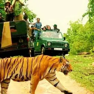Explore Same Day Tiger Safari Tour From Jaipur All Included for 1 days with Fragrance of Taj and discover unforgettable experiences - Photo 7