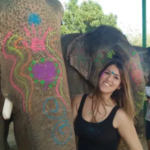 Explore Amazing Golden Triangle 2N 3Days All Included for 3 days with Fragrance of Taj and discover unforgettable experiences - Photo 8