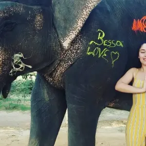Explore Enchanting  Jaipur  Trip From Delhi  with Amazing Stay in Elephant Sanctuary with All Activity for 2 days with Fragrance of Taj and discover unforgettable experiences - Photo 5