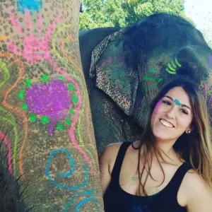 Explore Enchanting  Jaipur  Trip From Delhi  with Amazing Stay in Elephant Sanctuary with All Activity for 2 days with Fragrance of Taj and discover unforgettable experiences - Photo 6