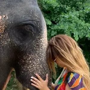 Explore Enchanting  Jaipur  Trip From Delhi  with Amazing Stay in Elephant Sanctuary with All Activity for 2 days with Fragrance of Taj and discover unforgettable experiences - Photo 7