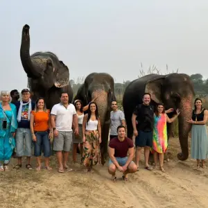 Explore Same Day Tiger Safari Tour From Jaipur All Included for 1 days with Fragrance of Taj and discover unforgettable experiences - Photo 11