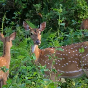 Explore Best of Nepal Tour Package - 12 Days for 12 days with Frolic Adventure Pvt. Ltd. and discover unforgettable experiences - Photo 3