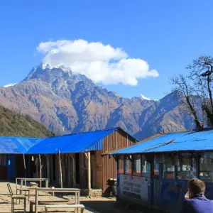 Explore 3 Day Mardi Himal Trek for 3 days with Frolic Adventure Pvt. Ltd. and discover unforgettable experiences - Photo 4
